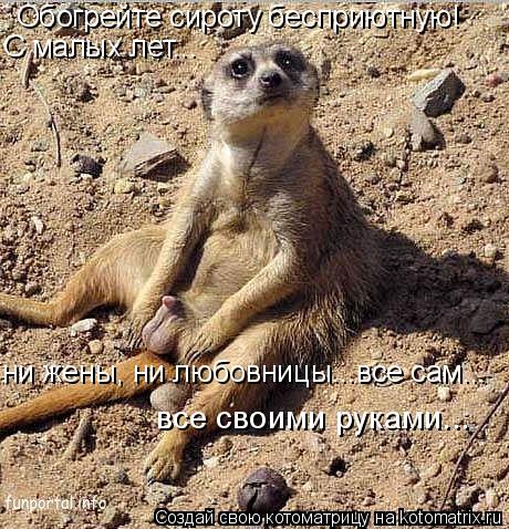 Обогрейте сироту бесприютную! С малых лет... ни жены, ни любовницы...все сам... все своими руками...... Котоматрица: Обогрейте сироту бесприютную! С малых лет... ни жены, ни любовницы...все сам... все своими руками...