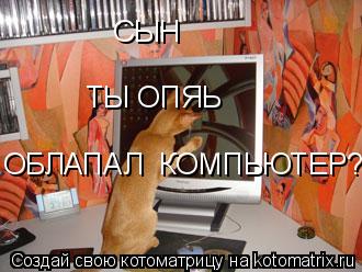 СЫН ТЫ ОПЯЬ ОБЛАПАЛ КОМПЬЮТЕР?... Котоматрица: СЫН ТЫ ОПЯЬ ОБЛАПАЛ КОМПЬЮТЕР?