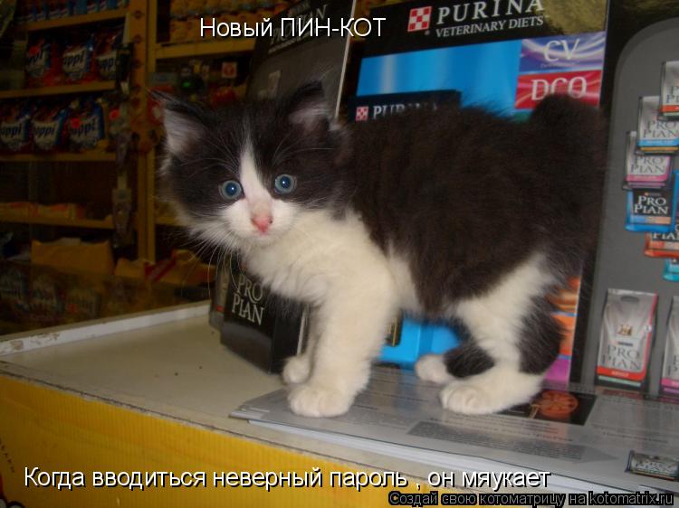 Новый ПИН-КОТ Когда вводиться неверный пароль , он мяукает... Котоматрица: Новый ПИН-КОТ Когда вводиться неверный пароль , он мяукает
