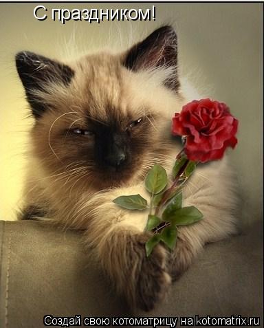 С праздником!... Котоматрица: С праздником!