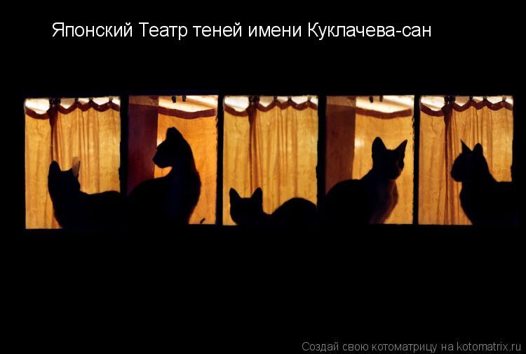 Японский Театр теней имени Куклачева-сан... Котоматрица: Японский Театр теней имени Куклачева-сан