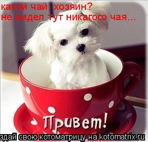 Котоматрица: какой чай, хозяин? не видел тут никагого чая...