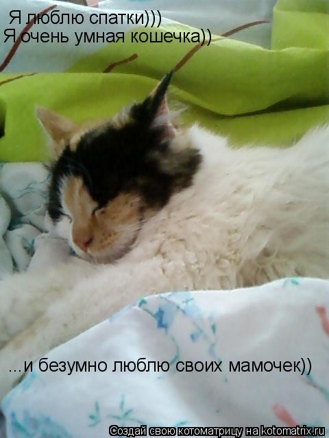 Я люблю спатки))) Я очень умная кошечка)) ...и безумно люблю своих мамочек))... Котоматрица: Я люблю спатки))) Я очень умная кошечка)) ...и безумно люблю своих мамочек))