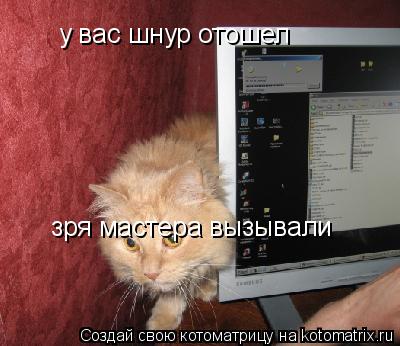 у вас шнур отошел зря мастера вызывали... Котоматрица: у вас шнур отошел зря мастера вызывали