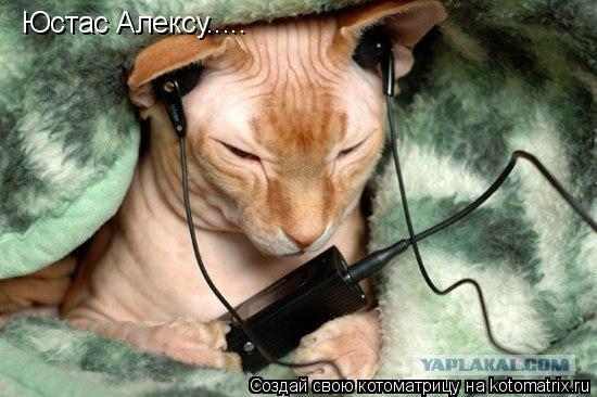 Юстас Алексу........ Котоматрица: Юстас Алексу.....
