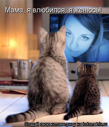 Котоматрица: Мама, я влюбился, я женюсь!