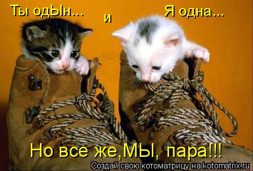 Котоматрица: Но все же,МЫ, пара!!! Ты одЫн... и Я одна...