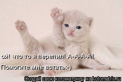 ой! что то я перепил! А-А-А-А! Помогите мне встать:-)... Котоматрица: ой! что то я перепил! А-А-А-А! Помогите мне встать:-)