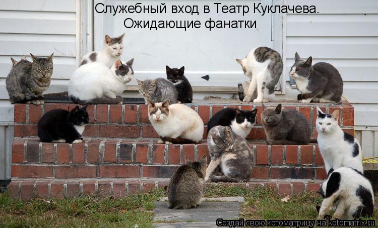 Котоматрица: Служебный вход в Театр Куклачева.  Ожидающие фанатки