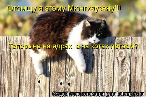 Отомщу я этому Мюнгхаузену!!! Теперь не на ядрах, а на котах летаем?!... Котоматрица: Отомщу я этому Мюнгхаузену!!! Теперь не на ядрах, а на котах летаем?!