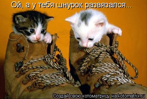 Котоматрица: Ой, а у тебя шнурок развязался...