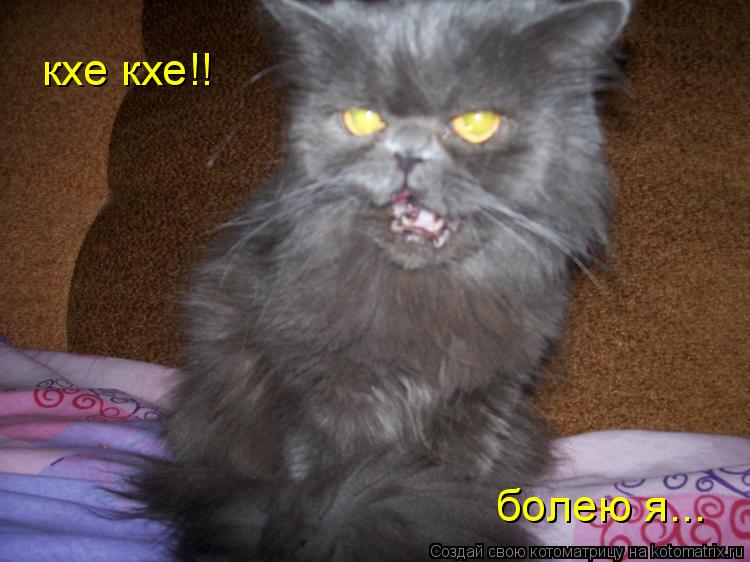 кхе кхе!! болею я...... Котоматрица: кхе кхе!! болею я...