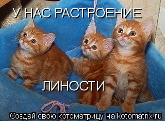 У НАС РАСТРОЕНИЕ ЛИНОСТИ... Котоматрица: У НАС РАСТРОЕНИЕ ЛИНОСТИ