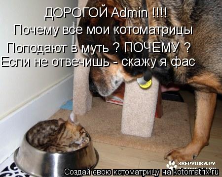 ДОРОГОЙ Admin !!!! Почему все мои котоматрицы Поподают в муть ? ПОЧЕМУ ? Если не отвечишь - скажу я ф... Котоматрица: ДОРОГОЙ Admin !!!! Почему все мои котоматрицы Поподают в муть ? ПОЧЕМУ ? Если не отвечишь - скажу я фас