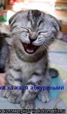 ха ха ха .я абкуреныий... Котоматрица: ха ха ха .я абкуреныий