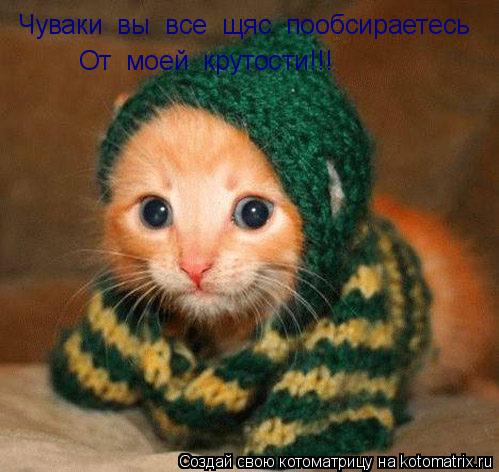Чуваки вы все щяс пообсираетесь От моей крутости!!!... Котоматрица: Чуваки вы все щяс пообсираетесь От моей крутости!!!
