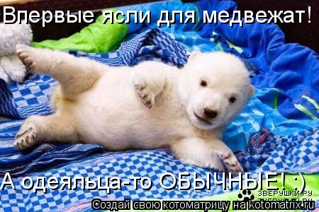 Котоматрица: Впервые ясли для медвежат! :) А одеяльца-то ОБЫЧНЫЕ! :)
