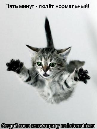 Котоматрица: Пять минут - полёт нормальный!