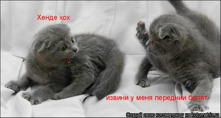 Котоматрица: Хенде хох извини у меня переднии болят