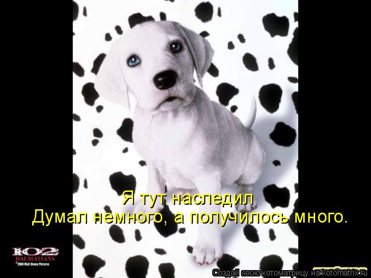 Я тут наследил Думал немного, а получилось много.... Котоматрица: Я тут наследил Думал немного, а получилось много.