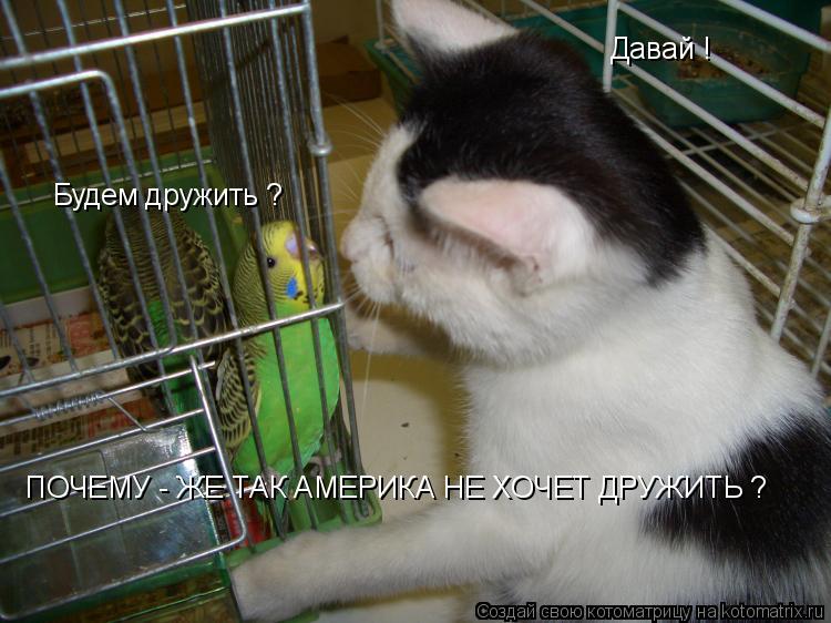 Будем дружить ? Давай ! ПОЧЕМУ - ЖЕ ТАК АМЕРИКА НЕ ХОЧЕТ ДРУЖИТЬ ?... Котоматрица: Будем дружить ? Давай ! ПОЧЕМУ - ЖЕ ТАК АМЕРИКА НЕ ХОЧЕТ ДРУЖИТЬ ?