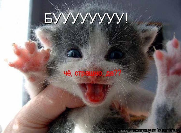 БУУУУУУУУ! чё, страшно, да??... Котоматрица: БУУУУУУУУ! чё, страшно, да??