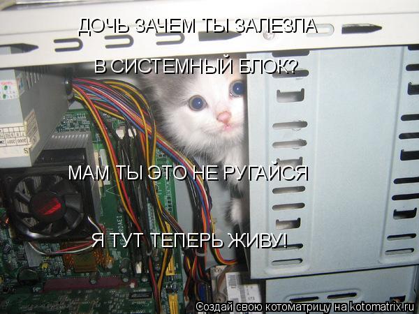 ДОЧЬ ЗАЧЕМ ТЫ ЗАЛЕЗЛА В СИСТЕМНЫЙ БЛОК? МАМ ТЫ ЭТО НЕ РУГАЙСЯ Я ТУТ ТЕПЕРЬ ЖИВУ!... Котоматрица: ДОЧЬ ЗАЧЕМ ТЫ ЗАЛЕЗЛА В СИСТЕМНЫЙ БЛОК? МАМ ТЫ ЭТО НЕ РУГАЙСЯ Я ТУТ ТЕПЕРЬ ЖИВУ!