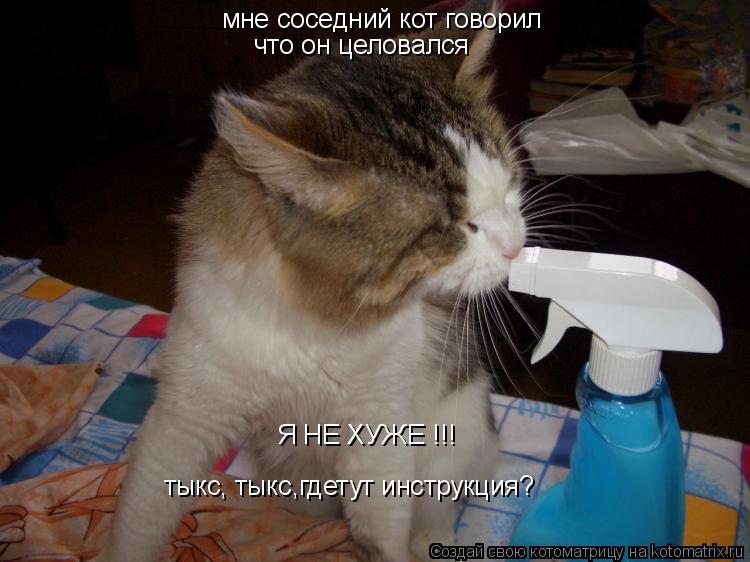 мне соседний кот говорил что он целовался Я НЕ ХУЖЕ !!! тыкс, тыкс,гдетут инструкция?... Котоматрица: мне соседний кот говорил что он целовался Я НЕ ХУЖЕ !!! тыкс, тыкс,гдетут инструкция?