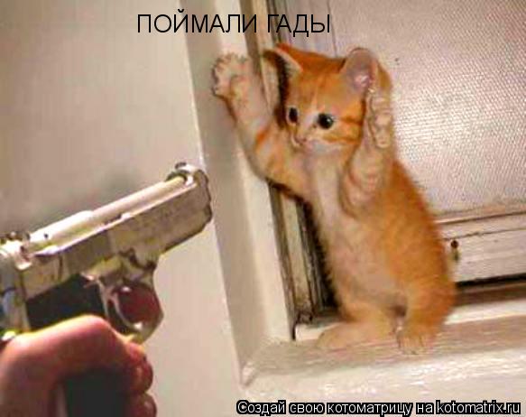 ПОЙМАЛИ ГАДЫ... Котоматрица: ПОЙМАЛИ ГАДЫ