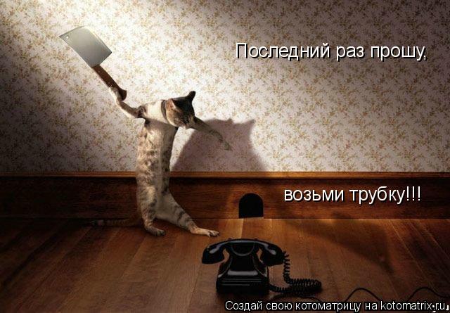 Последний раз прошу, возьми трубку!!!... Котоматрица: Последний раз прошу, возьми трубку!!!