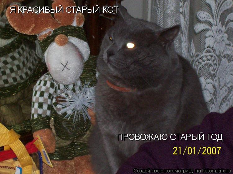 Я КРАСИВЫЙ СТАРЫЙ КОТ Я КРАСИВЫЙ СТАРЫЙ КОТ ПРОВОЖАЮ СТАРЫЙ ГОД ПРОВОЖАЮ СТАРЫЙ ГОД... Котоматрица: Я КРАСИВЫЙ СТАРЫЙ КОТ Я КРАСИВЫЙ СТАРЫЙ КОТ ПРОВОЖАЮ СТАРЫЙ ГОД ПРОВОЖАЮ СТАРЫЙ ГОД