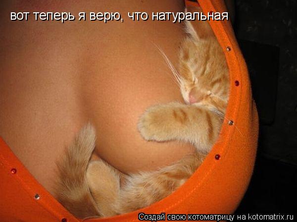 вот теперь я верю, что натуральная... Котоматрица: вот теперь я верю, что натуральная
