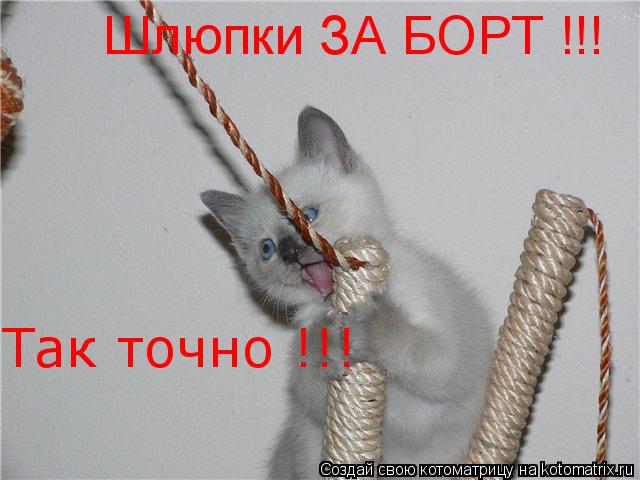 Котоматрица: Шлюпки ЗА БОРТ !!! Так точно !!!