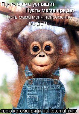 Пусть мама услышит Пусть мама придет Пусть мама меня непременно НАЙДЕТ!... Котоматрица: Пусть мама услышит Пусть мама придет Пусть мама меня непременно НАЙДЕТ!