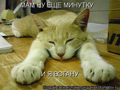 МАМ НУ ЕЩЕ МИНУТКУ И Я ВСТАНУ... Котоматрица: МАМ НУ ЕЩЕ МИНУТКУ И Я ВСТАНУ