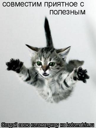 совместим приятноес совместим приятное с полезным . .... Котоматрица: совместим приятноес совместим приятное с полезным . .