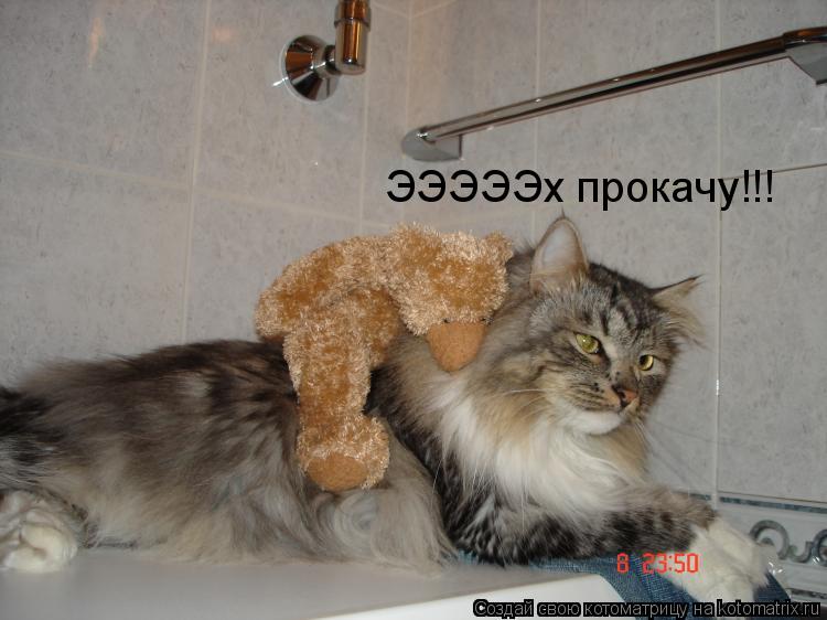 ЭЭЭЭЭх прокачу!!!... Котоматрица: ЭЭЭЭЭх прокачу!!!