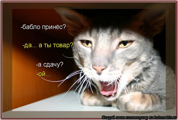 -бабло принёс? -а сдачу? -ой... -да... а ты товар?... Котоматрица: -бабло принёс? -а сдачу? -ой... -да... а ты товар?