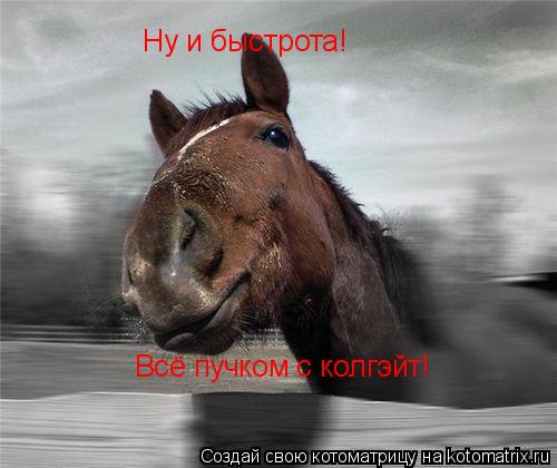 Ну и быстрота! Всё пучком с колгэйт!... Котоматрица: Ну и быстрота! Всё пучком с колгэйт!