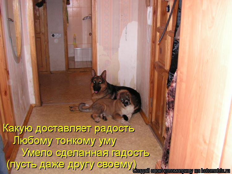 Какую доставляет радость Любому тонкому уму Умело сделанная гадость (пусть даже другу своему)... Котоматрица: Какую доставляет радость Любому тонкому уму Умело сделанная гадость (пусть даже другу своему)
