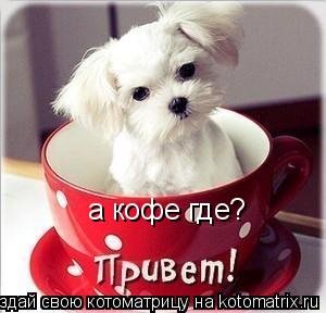 а кофе где?... Котоматрица: а кофе где?