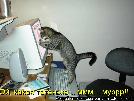 Котоматрица: Ой, какая тётенька... ммм... муррр!!!