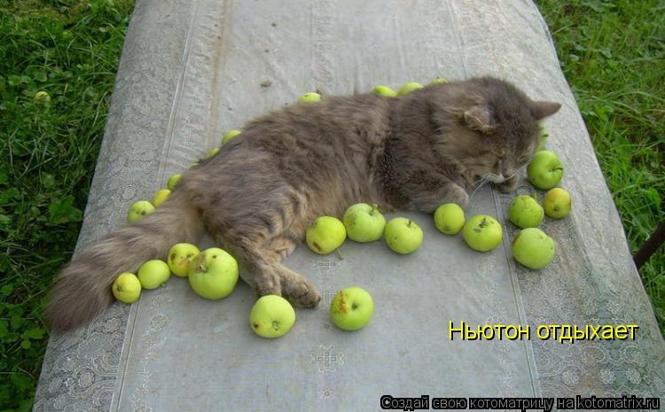 Ньютон отдыхает... Котоматрица: Ньютон отдыхает