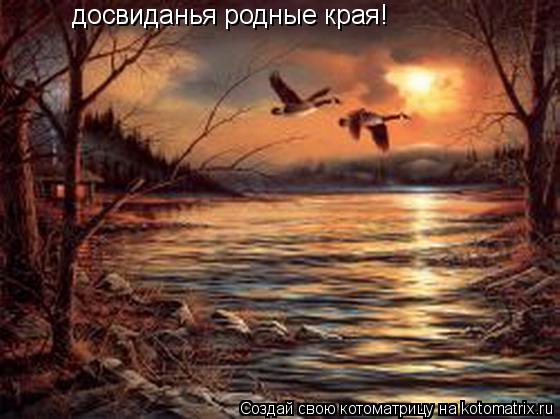 досвиданья родные края!... Котоматрица: досвиданья родные края!