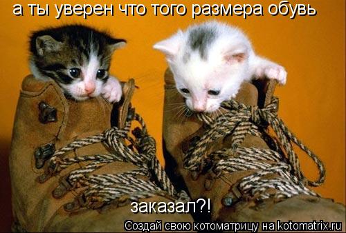 а ты уверен что того размера обувь заказал?!... Котоматрица: а ты уверен что того размера обувь заказал?!