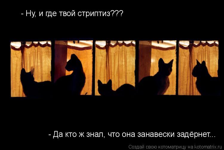 - Да кто ж знал, что она занавески задёрнет... - Ну, и где твой стриптиз???... Котоматрица: - Да кто ж знал, что она занавески задёрнет... - Ну, и где твой стриптиз???