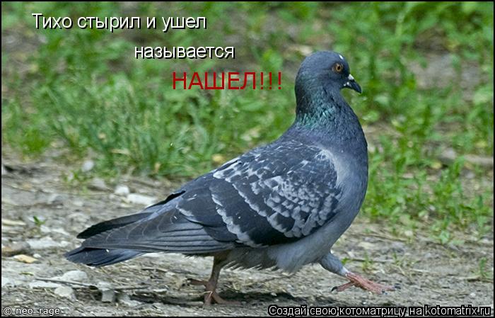 Тихо стырил и ушел называется НАШЕЛ!!!... Котоматрица: Тихо стырил и ушел называется НАШЕЛ!!!