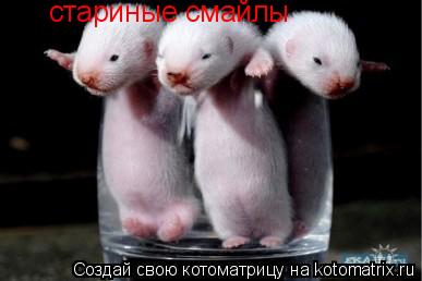 Котоматрица: стариные смайлы