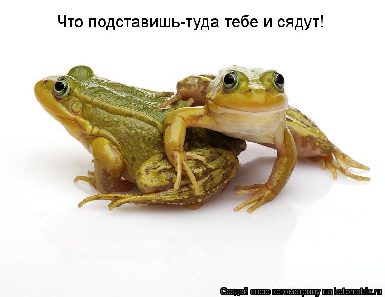 Что подставишь-туда тебе и сядут!... Котоматрица: Что подставишь-туда тебе и сядут!