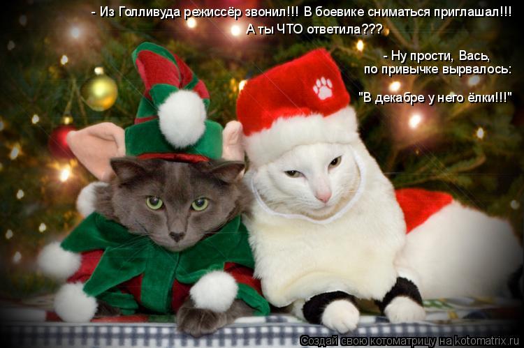 - Из Голливуда режиссёр звонил!!! В боевике сниматься приглашал!!! А ты ЧТО ответила??? - Ну прости, ... Котоматрица: - Из Голливуда режиссёр звонил!!! В боевике сниматься приглашал!!! А ты ЧТО ответила??? - Ну прости, Вась, по привычке вырвалось: "В декабре у нег